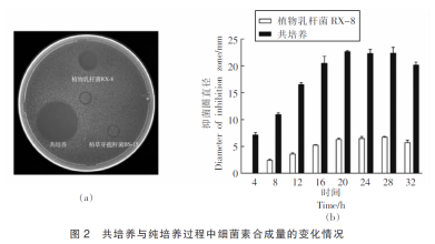 1646111457155034.png 1646111457155034.png